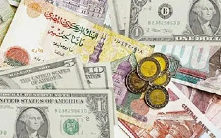 8 سبتمبر 2025.. الدولار يتراجع بين 13 و29 قرشا أمام الجنيه خلال تعاملات اليوم