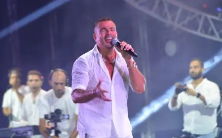 نوفمبر المقبل.. عمرو دياب يحيي حفلا غنائيا في دبي