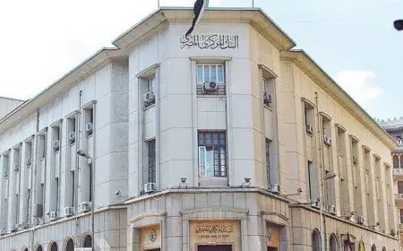البنك المركزي المصري: ارتفاع حسابات محافظ الهاتف المحمول لـ50.4 مليون بنهاية 2024