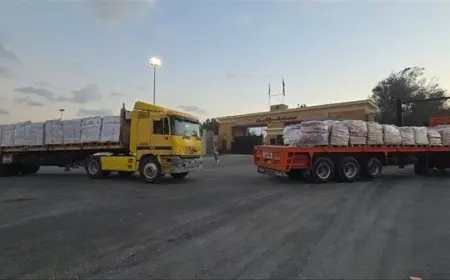 عبور 43 شاحنة مساعدات إماراتية معبر رفح تمهيدا لدخولها غزة خلال يومين