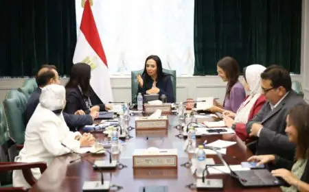 وزيرة التضامن تلتقي الممثلة المقيمة الجديدة لبرنامج الأمم المتحدة الإنمائي في مصر