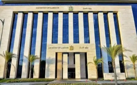 وزارة العمل: توقف بعض الخدمات الإلكترونية بسبب صيانة الداتا سنتر.. وعودتها خلال 48 ساعة