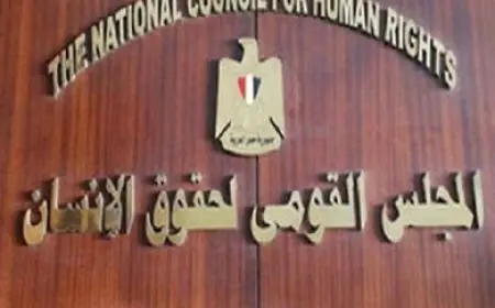 المجلس القومي لحقوق الإنسان يناشد الرئيس السيسي الإفراج عن سبعة بينهم علاء عبد الفتاح