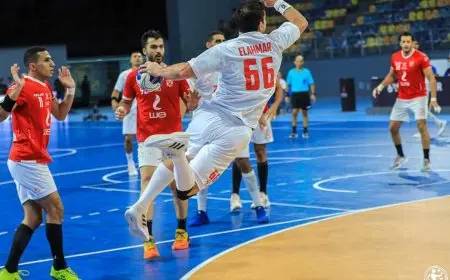 قناة إماراتية تعلن نقل بطولة العالم لليد بمشاركة القطبين