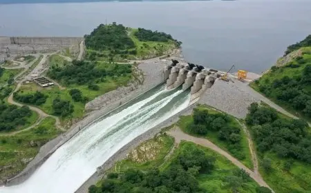 مدير مشروع سد النهضة في إثيوبيا: كان ينبغي على مصر والسودان تحمل نصف تكاليف البناء