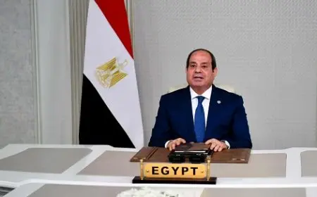 الرئيس السيسي: أداء مجلس الأمن مثال صارخ على عجز وتراجع المجتمع الدولي