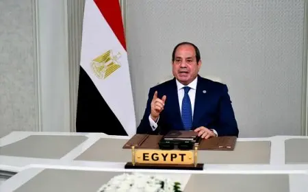 منها التعامل بالعملات المحلية.. الرئيس السيسي يطرح 5 أولويات لتعميق التكامل بين دول بريكس