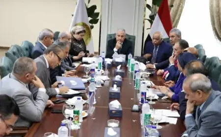 الهيئة الوطنية للصحافة تناقش المشاكل المالية والإدارية والطباعية بالمؤسسات الصحفية القومية