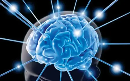 دراسة: المحليات الصناعية تعجل شيخوخة المخ