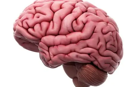 دراسة جديدة: مخ الانسان يغتسل أثناء النوم