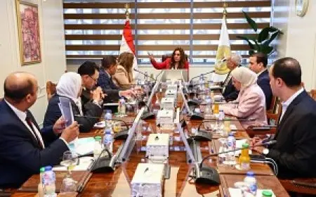 التنمية المحلية تبحث مع الإسكان الاجتماعي والرقابة المالية تعميم الخدمات التمويلية والتأمينية بالمحافظات