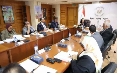 وزيرة التضامن تترأس اجتماع مجلس أمناء المؤسسة القومية لتنمية الأسرة والمجتمع