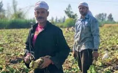 من البشاير إلى الناس في كفر عسكر.. مسلسلات رصدت نضال الفلاح المصري على شاشة الدراما