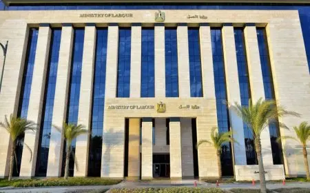 العمل: عودة الخدمات المعطلة خلال ساعات.. ورفع كفاءة الأنظمة الالكترونية