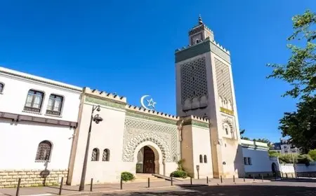 أمام مداخل المساجد.. تفاصيل العثور على رؤوس خنازير في فرنسا “صور”