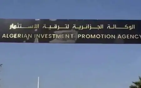 اتفاقية استثمارية بـ 2.5 مليار دولار بين وكالة الجزائر للاستثمار و”السويدي إلكتريك”