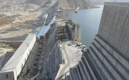 مصر توجه خطابا لمجلس الأمن إزاء تطورات حوض النيل الشرقي والسد الإثيوبي المخالف للقانون الدولي