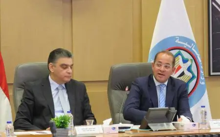 وزير المالية: إتاحة مصادر تمويل متعددة لتوفير السيولة النقدية اللازمة لشركات الأدوية