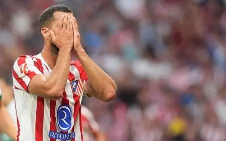 هانكو: خسرت الكثير من المال بالانتقال إلى أتلتيكو مدريد