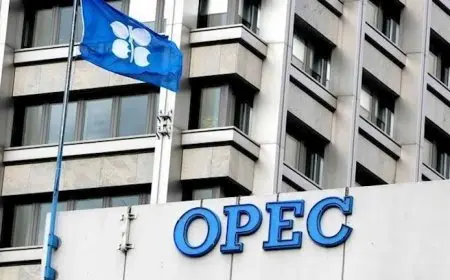كيف يؤثر قرار أوبك+ بزيادة إنتاجها 137 ألف برميل على أسعار النفط؟