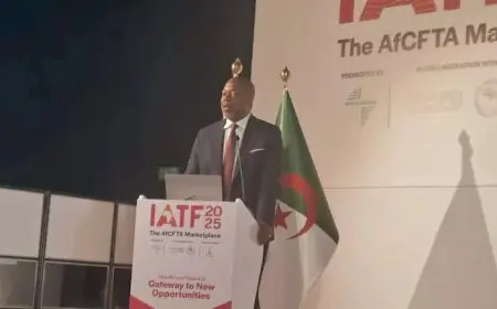 منها “CIB”.. بنوك مصرية تبدأ تسوية المدفوعات مع الدول الأفريقية بالعملات المحلية سبتمبر الحالي