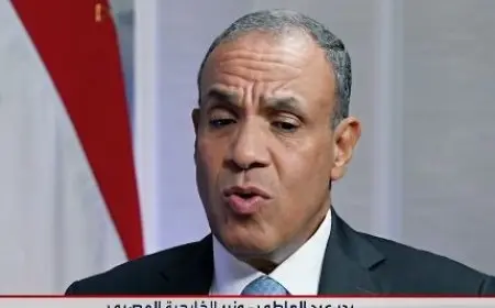 وزير الخارجية: مصر ملتزمة بالعمل على خفض التوترات بعيدا عن منطق غطرسة القوة والإملاءات