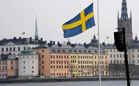 على الهواء.. وزيرة الصحة السويدية تفقد وعيها وتسقط من فوق المنصة- فيديو