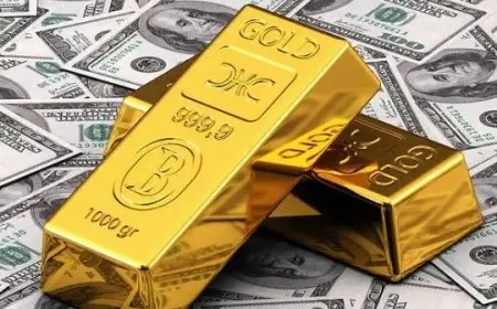 ارتفاع أسعار الذهب إلى مستوى قياسي جديد في ظل توقعات خفض الفائدة الأمريكية وضعف الدولار