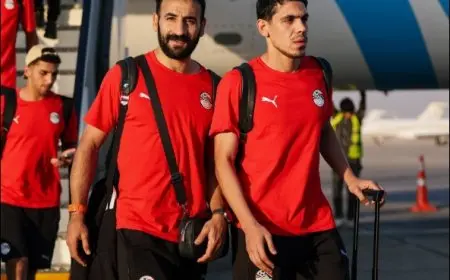 بعثة منتخب مصر تصل القاهرة بعد التعادل مع بوركينا