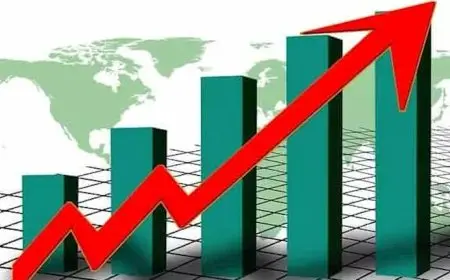 الإحصاء: ارتفاع معدل التضخم الشهري لأغسطس بنحو 0.2%