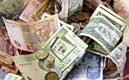انخفاض أسعار 6 عملات عربية مقابل الجنيه خلال تعاملات الأربعاء
