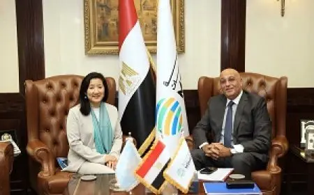 رئيس جهاز تنمية المشروعات: شراكة استراتيجية مع برنامج الأمم المتحدة الإنمائي لدعم المشروعات وريادة الأعمال