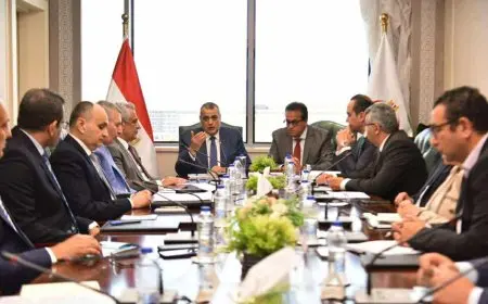 وزيرا الصحة والانتاج الحربي يناقشان تعزيز التعاون بين الوزارتين لتطوير المنظومة الصحية