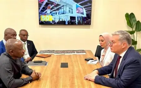 مصر ونيجيريا تبحثان زيادة الاستثمارات المشتركة في الطاقة