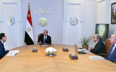 السيسي يوجه بتعزيز قدرات الشبكة القومية للكهرباء والتوسع في مشروعات الطاقة المتجددة