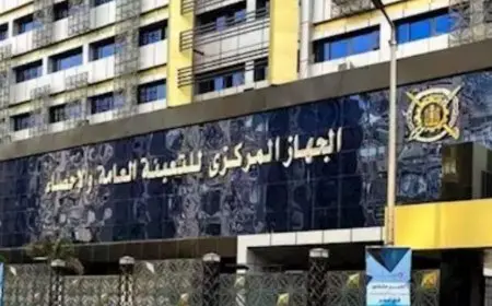 الإحصاء: ارتفاع أسعار خدمات التعليم في مصر بنسبة 10% على أساس سنوي