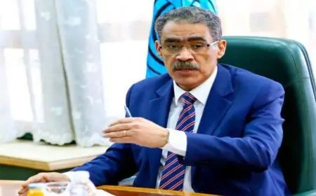 ضياء رشوان: الوساطة واجب لن تتخلَ عنه مصر أو قطر
