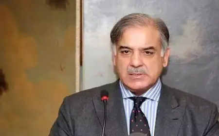 “زيارة تضامنية”.. رئيس وزراء باكستان يتوجه إلى قطر بعد الضربة الإسرائيلية