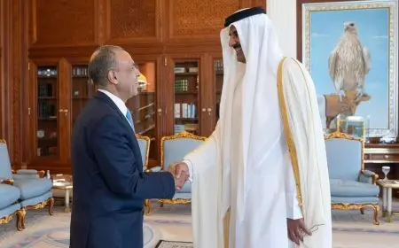 وزير الخارجية يسلم أمير قطر رسالة تضامن من الرئيس السيسي