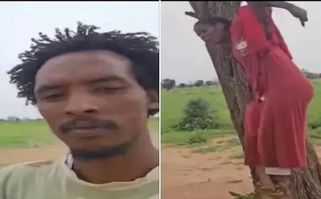 فيديو لفتاة سودانية معلقة على شجرة يشعل غضبًا.. وهجوم على الدعم السريع