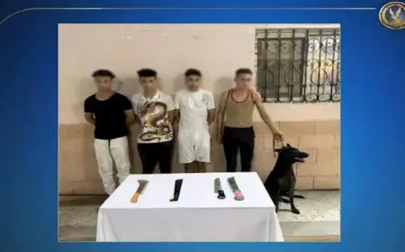 رعب في الشارع.. تفاصيل الهجوم بكلب وسلاح على سائق بالجيزة| فيديو