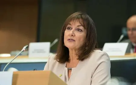 مسئولة أوربية: حل الدولتين هو الحل الوحيد لإنهاء النزاع بفلسطين