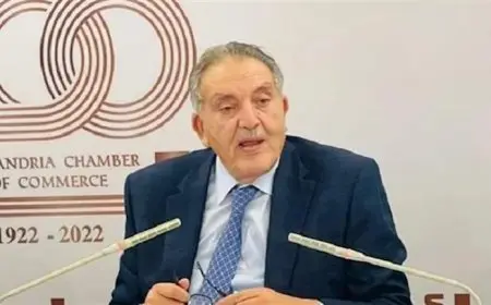 أحمد الوكيل: مصر وتونس تسعيان لبناء تحالفات حقيقية