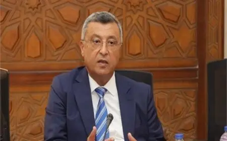 وزير البترول الأسبق: الصحراء الغربية مستقبل الطاقة