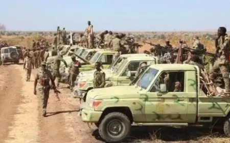 السودان.. الجيش يستعيد السيطرة على مدينة استراتيجية بولاية شمال كردفان