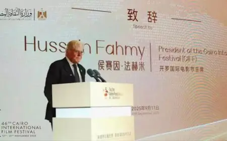 بالصور| رئيس مهرجان القاهرة السينمائي يشارك في فعاليات جوائز “الباندا الذهبية”