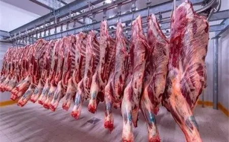 نقيب الفلاحين: محال الجزارة متمسكة بالأسعار القديمة.. والسعر العادل لأجود الأنواع لا يتجاوز 350 جنيها