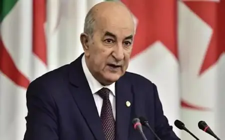 الجزائر: إسرائيل تشكل أكبر خطر على السلم والأمن إقليميا ودوليا