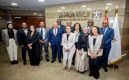المركزي يستضيف الاجتماع الأول لمجموعة تقرير الاستقرار المالي الإفريقي
