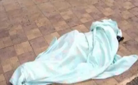 24 نوفمبر.. انطلاق الدوة الأولى لصدى الأهرامات تحت شعار «مهد الحضارات.. ملتقى الفنون والثقافات»